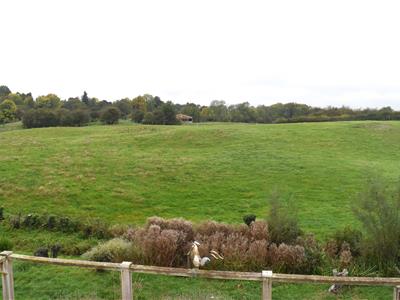 Picture 19